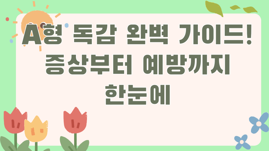 A형 독감 완벽 가이드! 증상부터 예방까지 한눈에